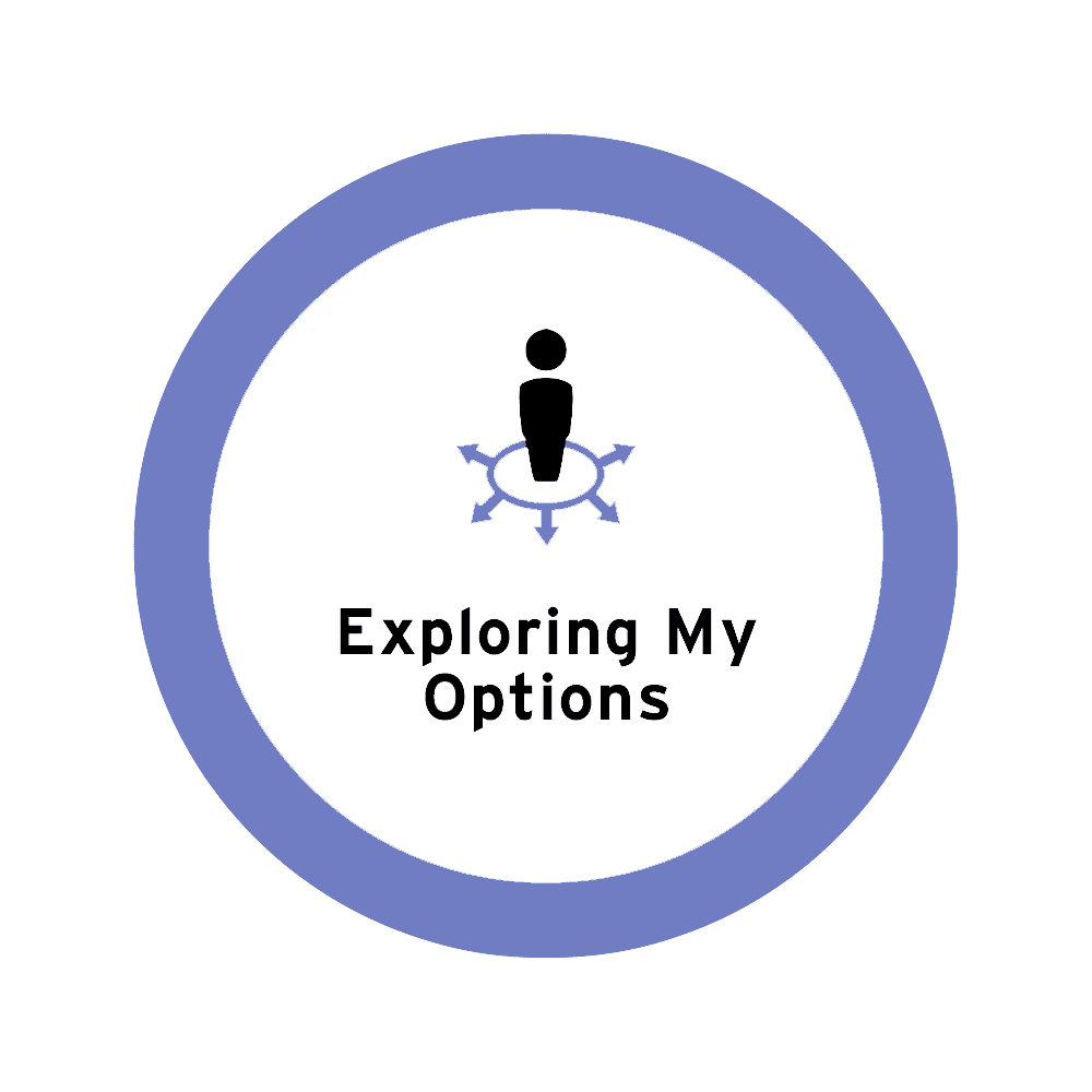 exploring-my-options icon